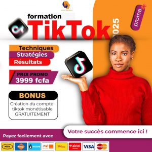 formation Publicité Tiktok Ads
